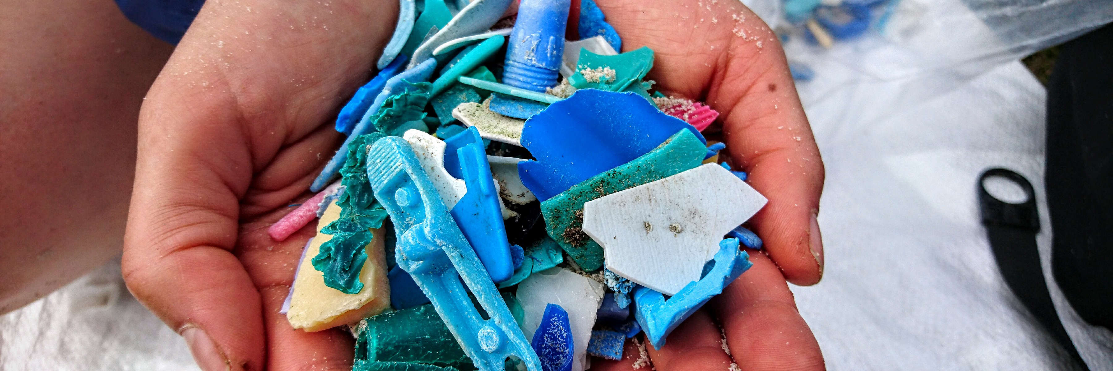 Two hands hold a pile of plastic pieces collected from the beach for a Coast Watchers coastal clean up. Photo: Andrew Hughes.