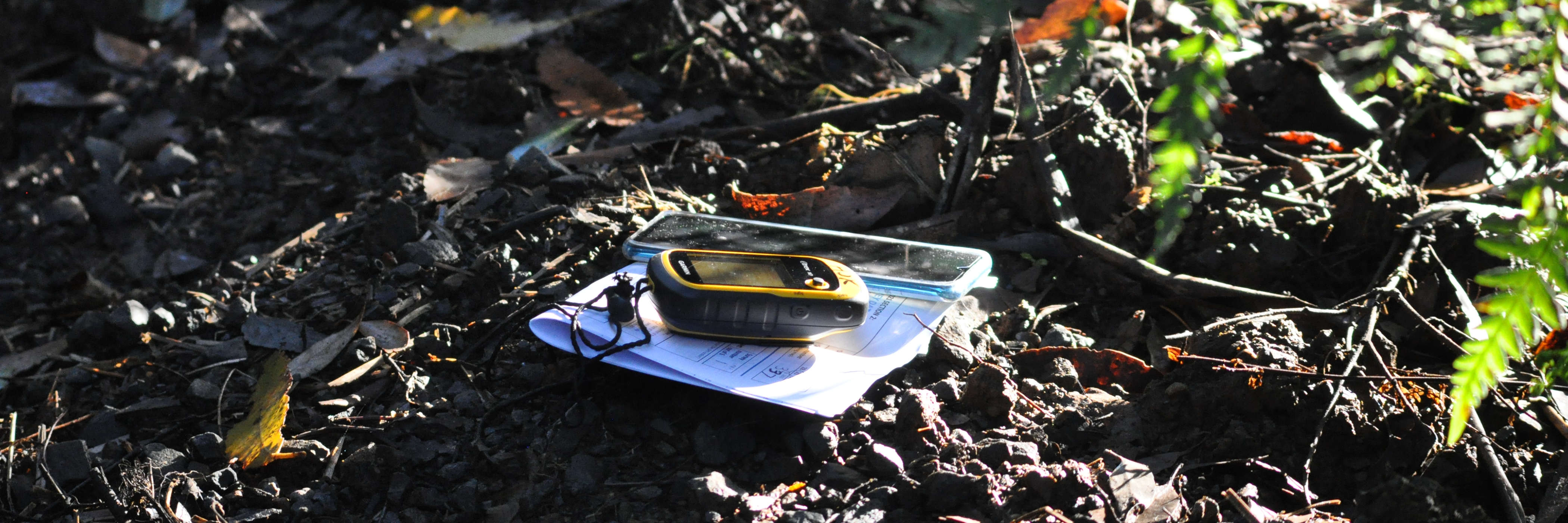 A GPS and smart phone, on top of some folded survey datasheets, lie on wet soil beside a sunlit fern. Photo: Stephen Anstee.