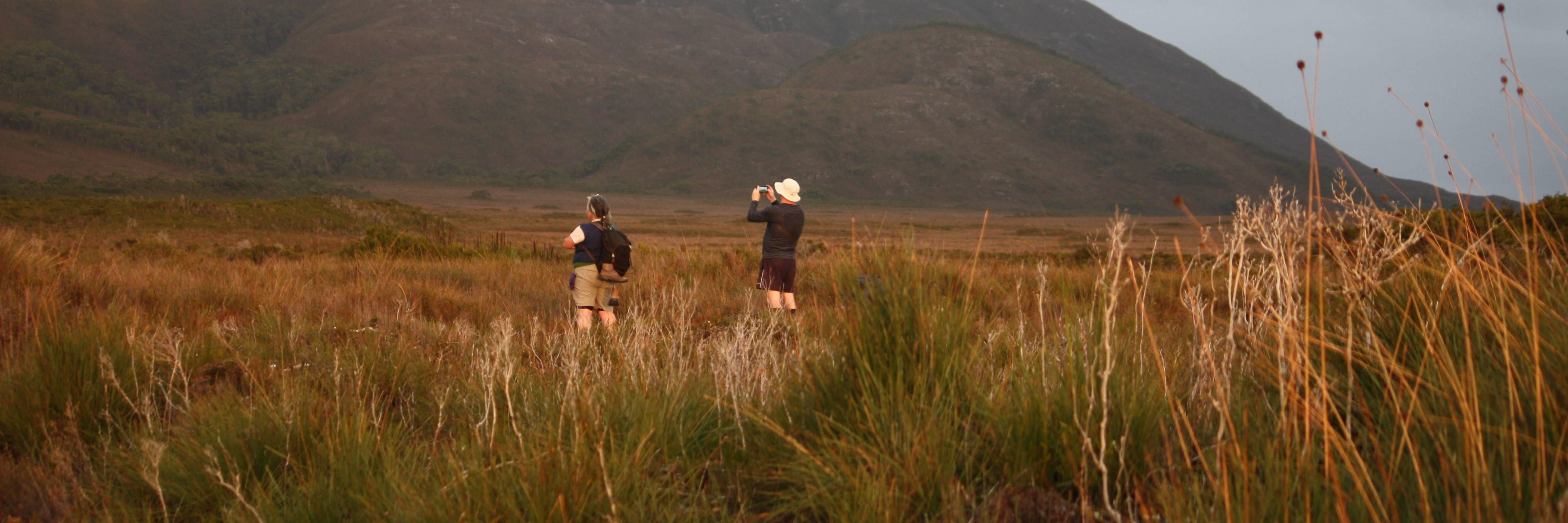 ‘Team Melaleuca’ carry out Where? Where? Wedgie! in the World Heritage Area, southern Tasmania. Standing in buttongrass with a mountain in the distance, they survey the area with binoculars. Photo: Persia Brooks.