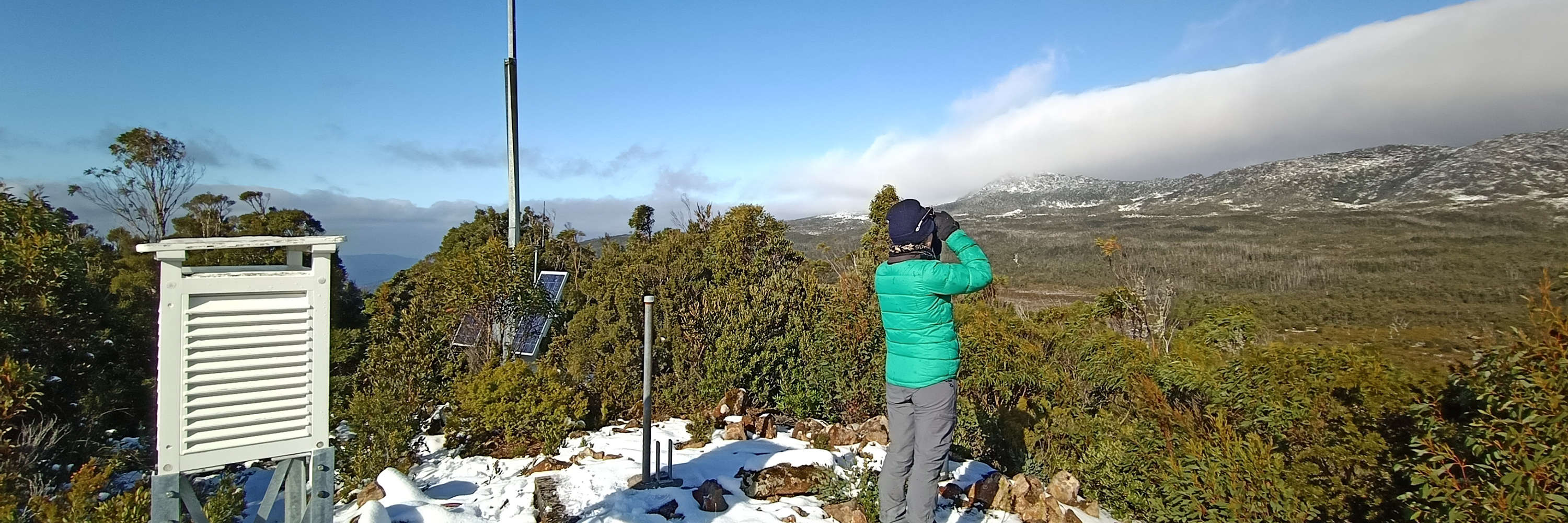A warmly-dressed woman standing on snowy heathland beside a weather station(?) surveys for Where? Where? Wedgie! Facing away from us, she points binoculars towards a snowy ridge. The sky is very blue, with cloud over the ridge. Photo: Stephen Anstee.