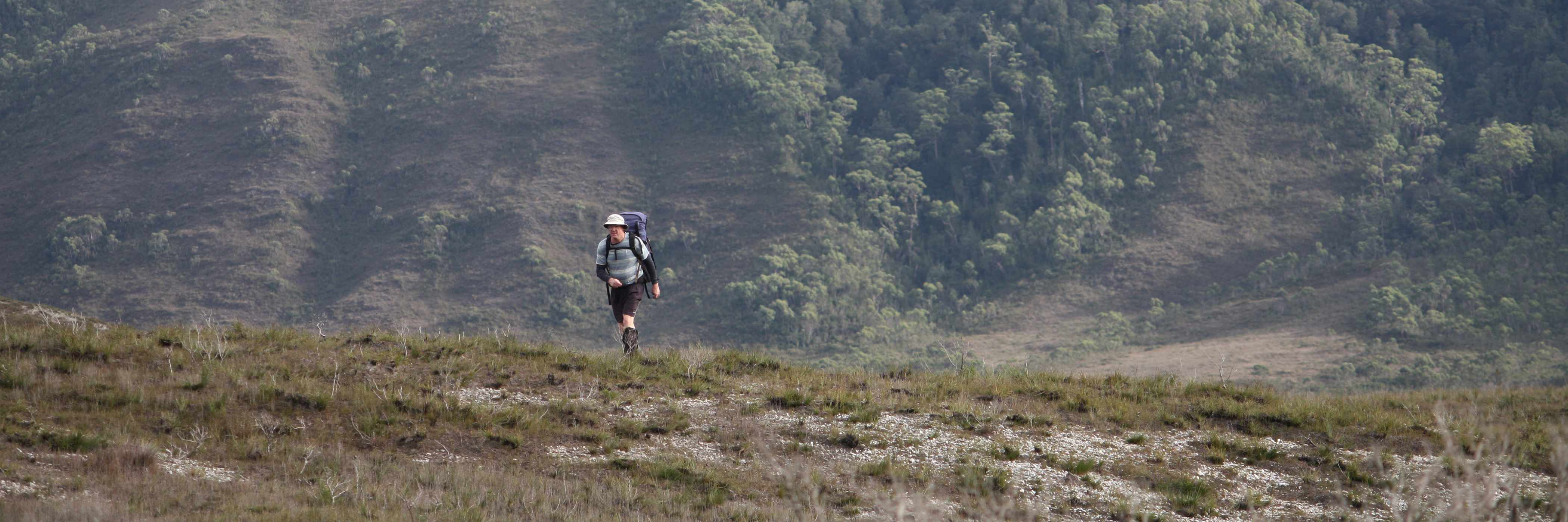A man walks over a small grassland rise, with a mountain behind him, in Tasmania’s remote southwest. He is wearing bushwalking gear and carries a large pack. Photo: Persia Brooks.